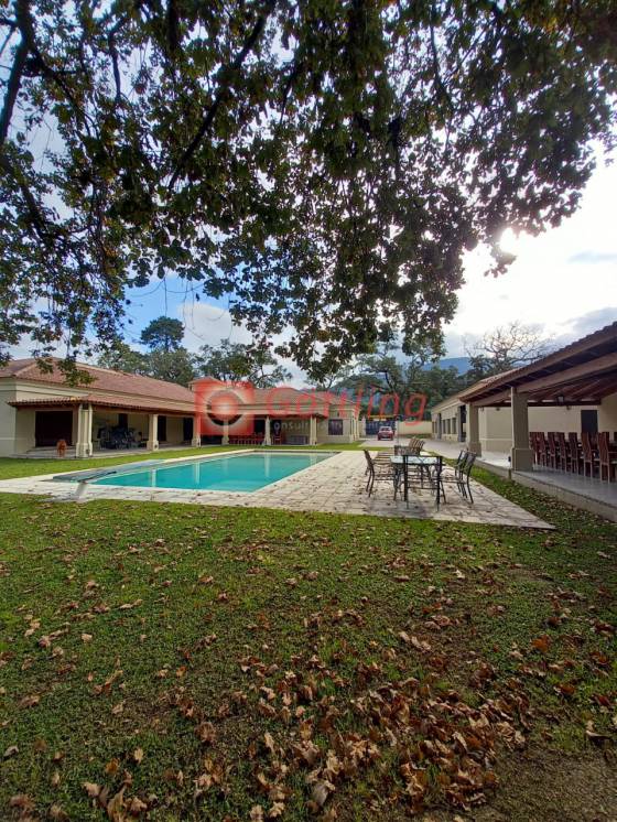 Rafael Obligado y Belisario Roldan